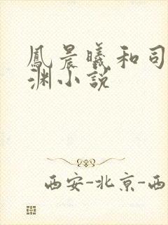 凤晨曦和司鸿颜渊小说