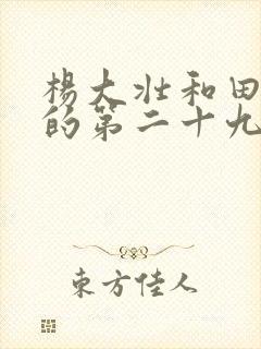 杨大壮和田桂花的第二十九