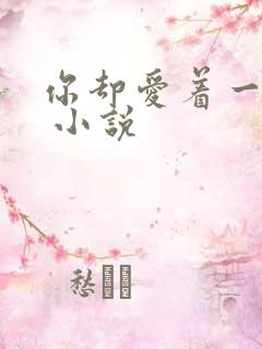 你却爱着一个他 小说