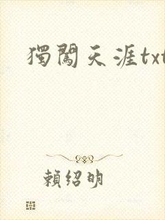 独闯天涯txt