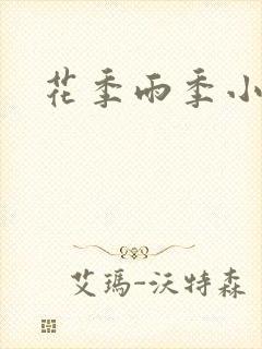 花季雨季小说