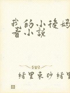 我的小后妈免费看小说