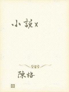 小说x