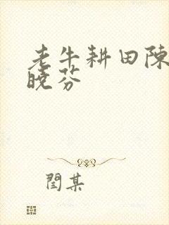 老牛耕田陈雪杨晓芬