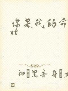 你是我的命运txt