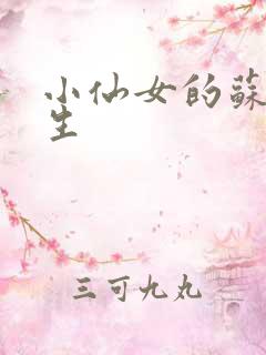 小仙女的苏撩先生