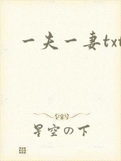 一夫一妻txt