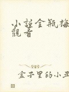 小说金瓶梅在线观看