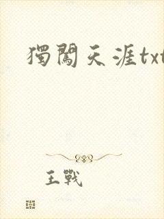 独闯天涯txt