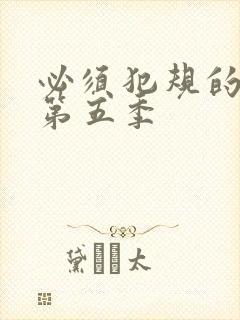 必须犯规的游戏第五季