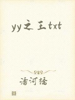 yy之王txt