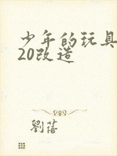 少年的玩具1一20改造