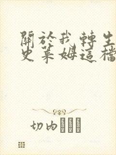 关于我转生变成史莱姆这档事小说