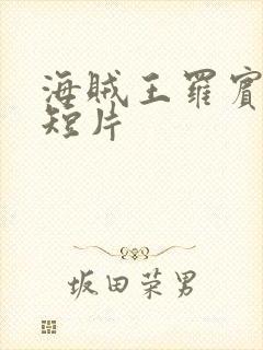 海贼王罗宾被h短片