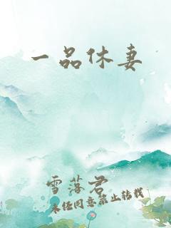 一品休妻