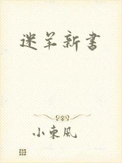 迷羊新书