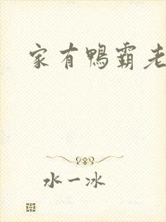 家有鸭霸老公