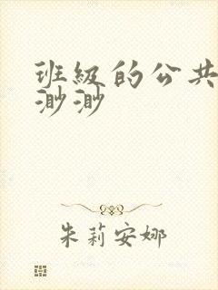 班级的公共玩具渺渺