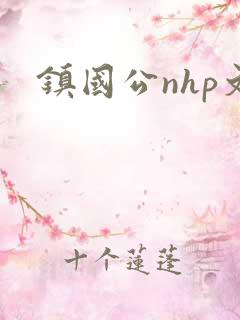 镇国公nhp文