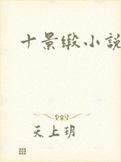 十景缎小说