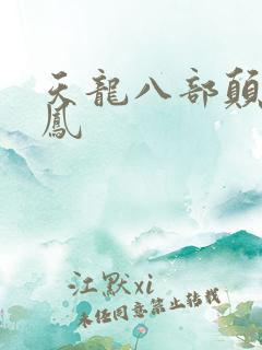 天龙八部颠龙鸾凤