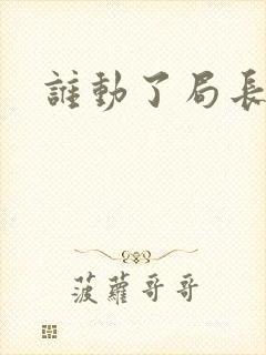 谁动了局长夫人