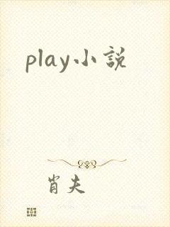 play小说