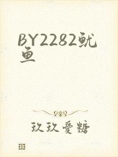 BY2282鱿鱼