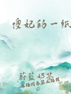 傻妃的一纸休书