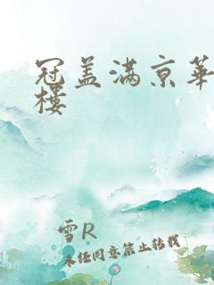 冠盖满京华19楼