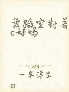 舞蹈室对着镜子c好吗