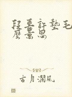 段嘉许垫毛巾什么意思