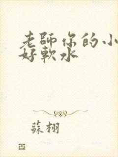 老师你的小兔子好软水