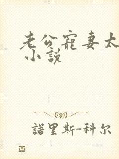 老公宠妻太甜蜜 小说