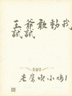 王爷敢动我妈咪试试