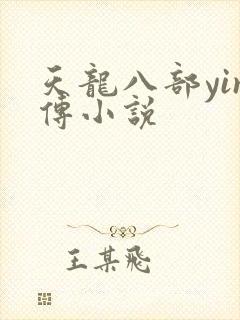 天龙八部yin传小说