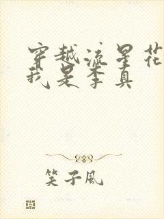 穿越流星花园之我是李真