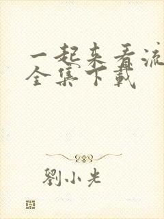 一起来看流星雨全集下载