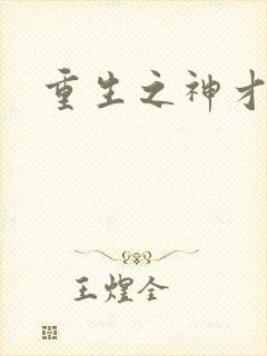 重生之神才风流