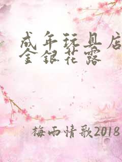 成年玩具店by金银花露