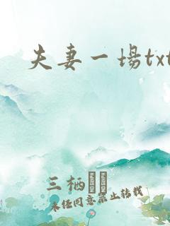 夫妻一场txt