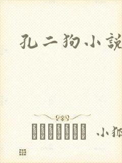 孔二狗小说