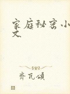 家庭秘密小说全文