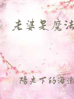 老婆是魔法少女