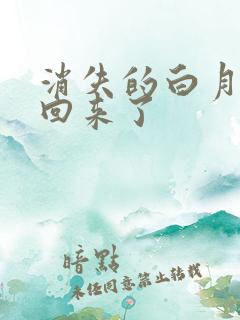 消失的白月光又回来了