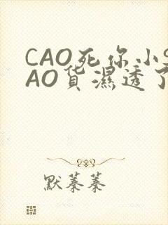 CAO死你小SAO货湿透了学长