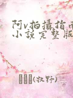 阿v拍摄指南说小说完整版