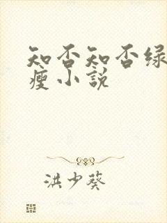 知否知否绿肥红瘦小说