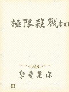 极限杀戮txt