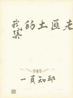 我的土匪老婆全集